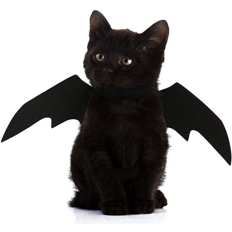 Halloween Pet Bat Wings Cat / Dog