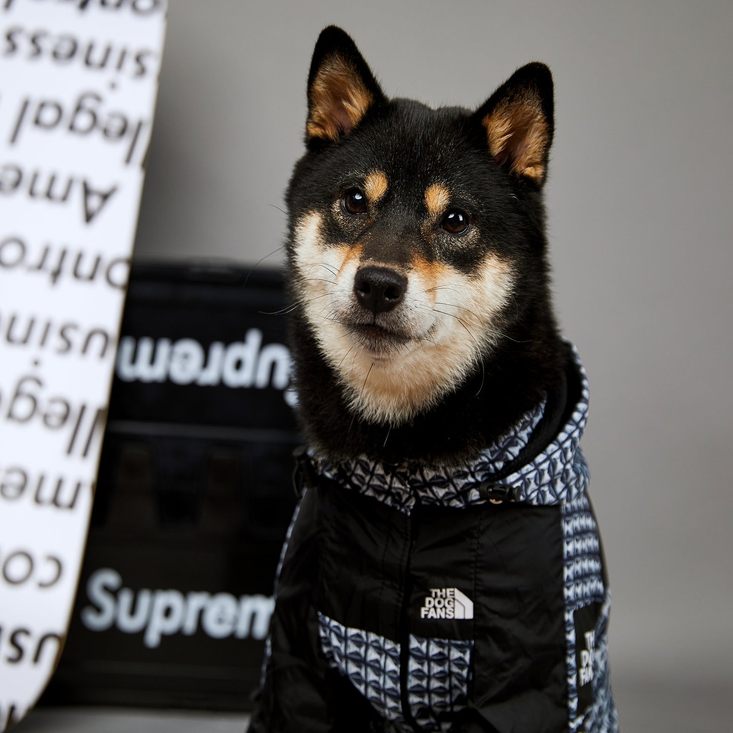 Fashion Brand Windproof And Rainproof Dog Raincoat