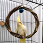 Bird Standing Frame Rattan Ring Chewing Toy