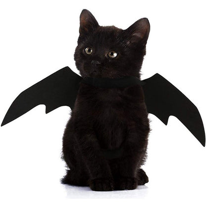 Halloween Pet Bat Wings Cat / Dog