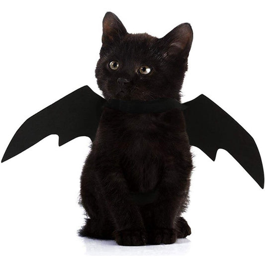 Halloween Pet Bat Wings Cat / Dog