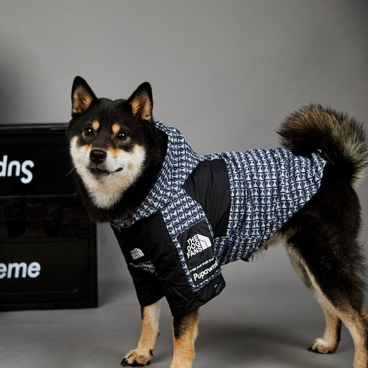 Fashion Brand Windproof And Rainproof Dog Raincoat