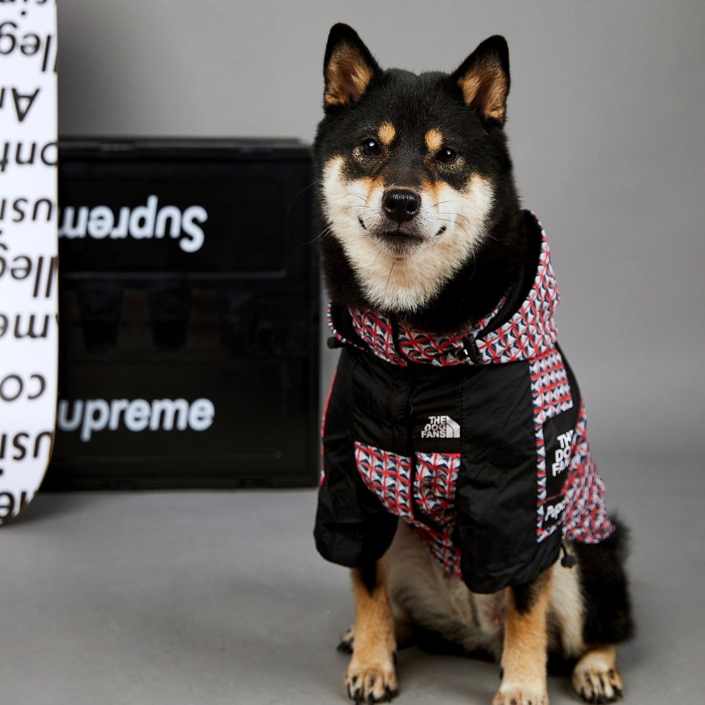Fashion Brand Windproof And Rainproof Dog Raincoat