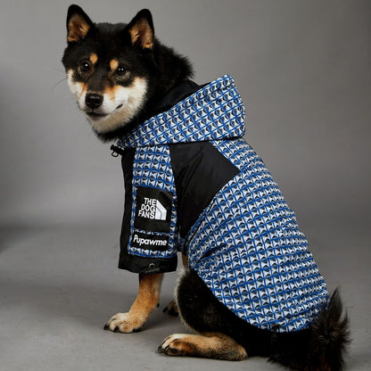 Fashion Brand Windproof And Rainproof Dog Raincoat