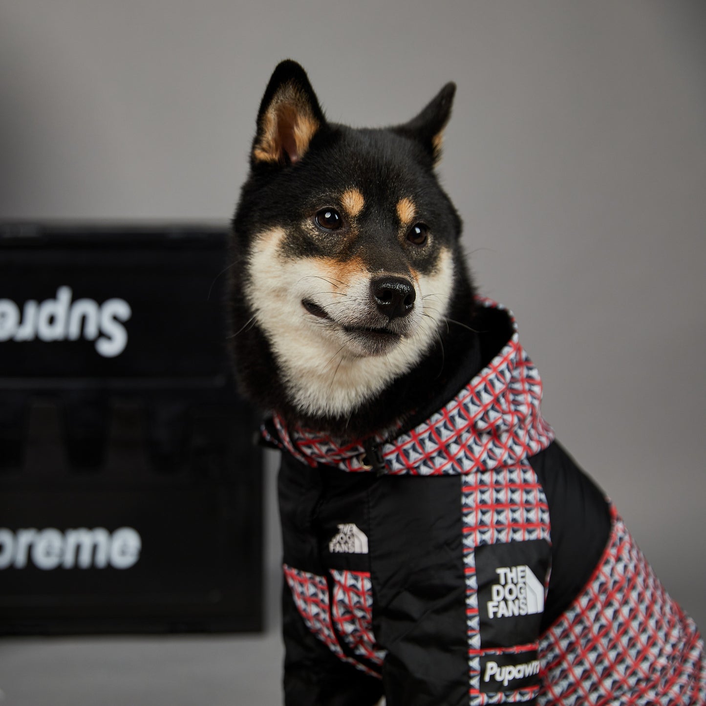Fashion Brand Windproof And Rainproof Dog Raincoat