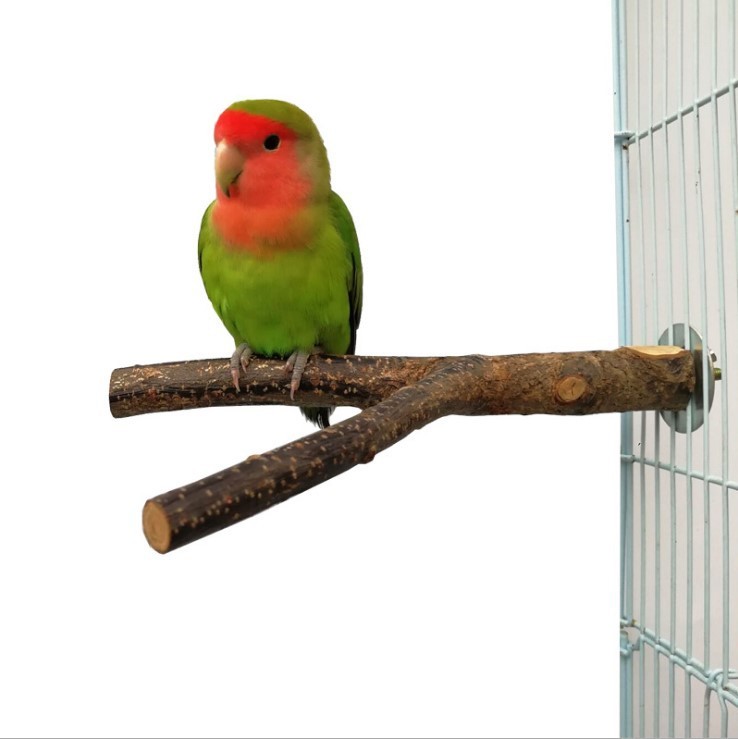 Bird Standing Frame Rattan Ring Chewing Toy