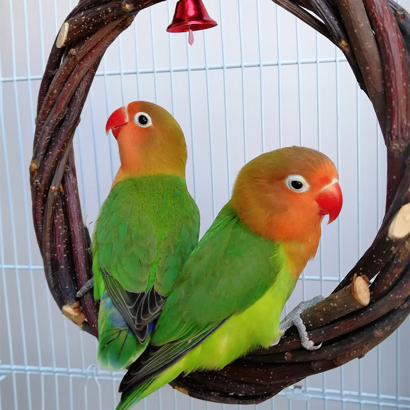 Bird Standing Frame Rattan Ring Chewing Toy
