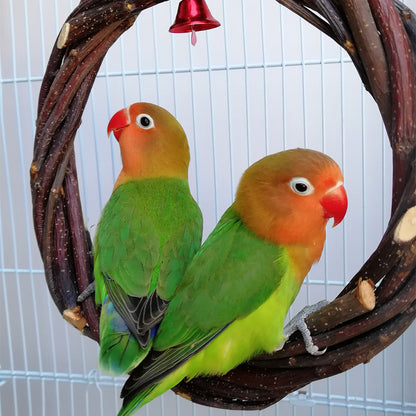 Bird Standing Frame Rattan Ring Chewing Toy